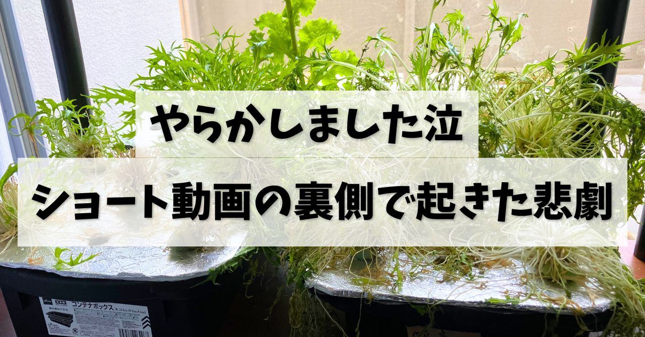 やらかしました…。ショート動画の裏側で起きた悲劇