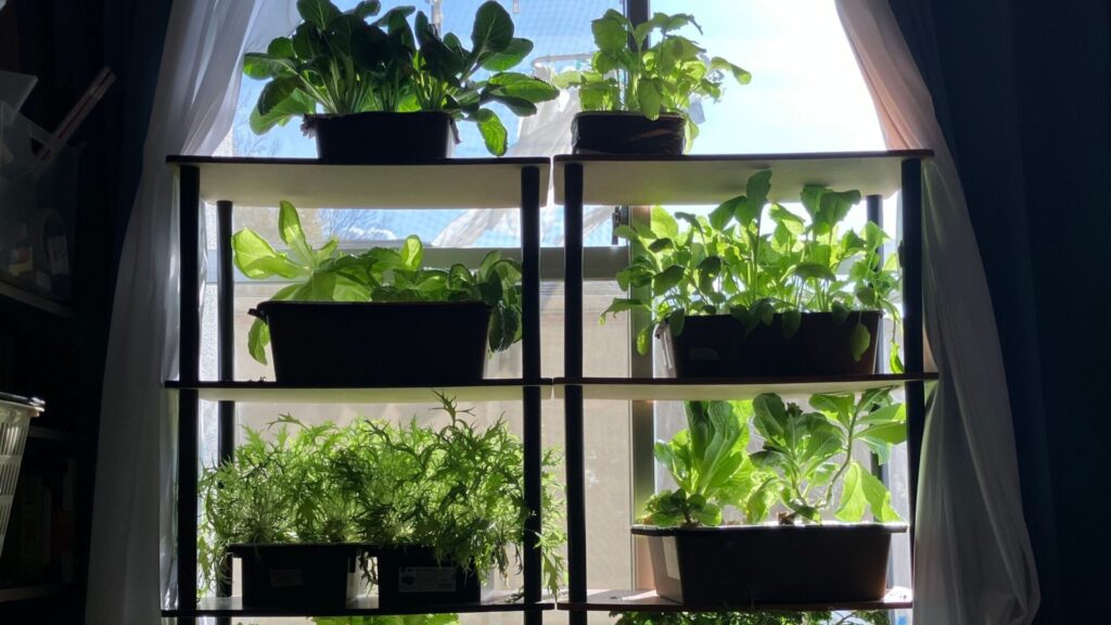 名称未設定のデザイン (1)