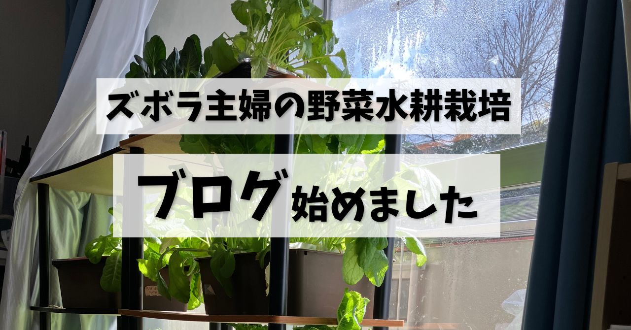 YouTubeでは言えない「失敗談」も公開。水耕栽培ブログ、はじめました！