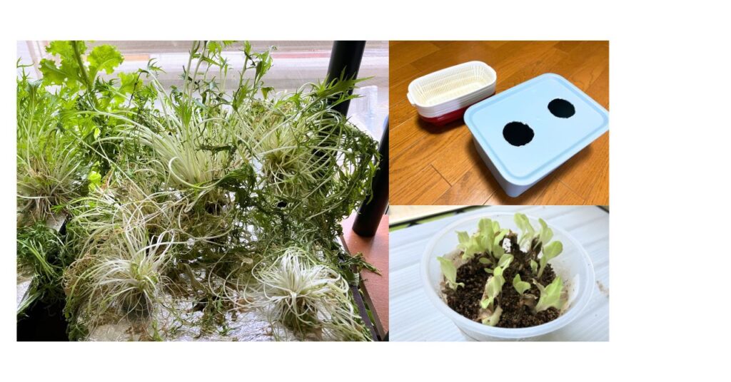 名称未設定のデザイン (6)