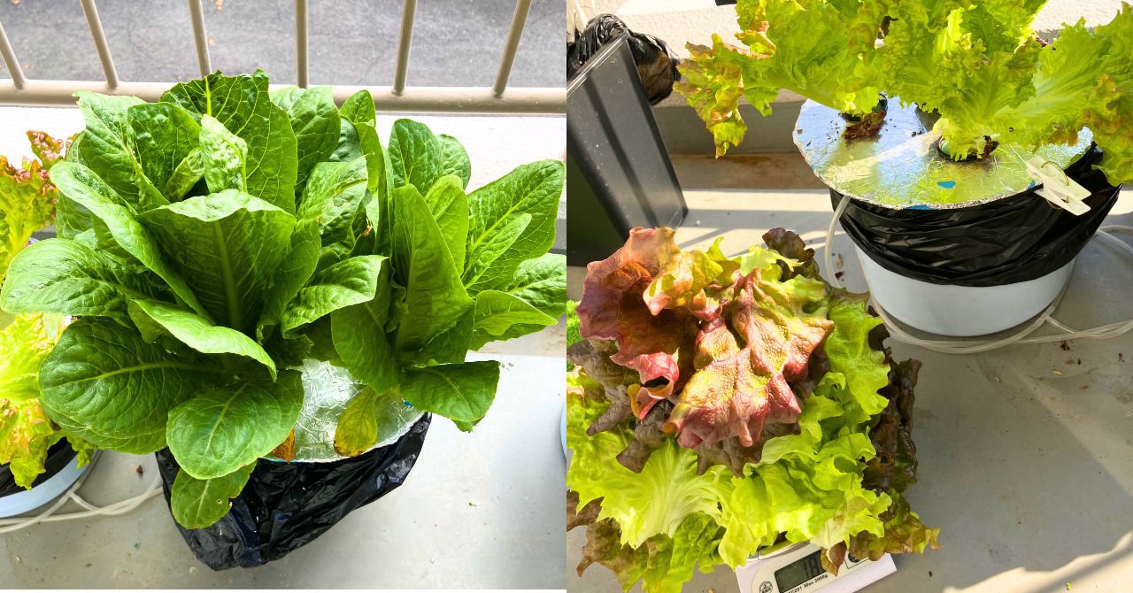 名称未設定のデザイン