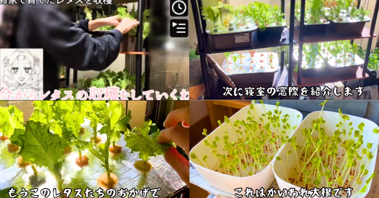 名称未設定のデザイン (2)