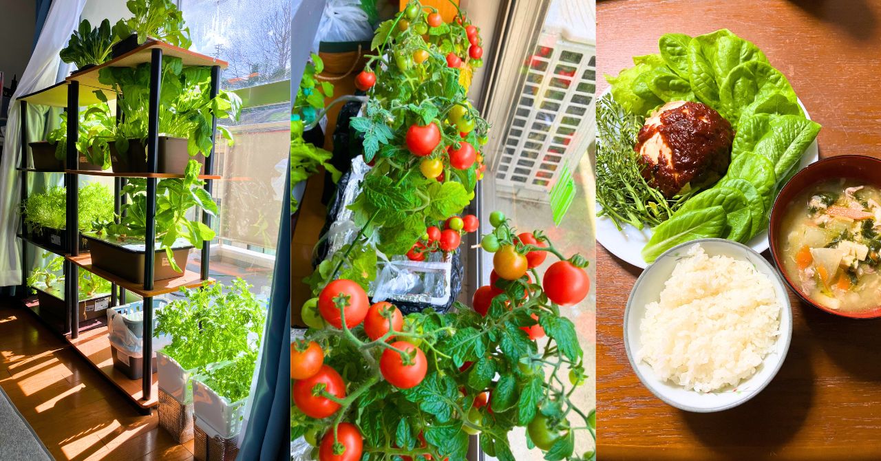 名称未設定のデザイン (4)